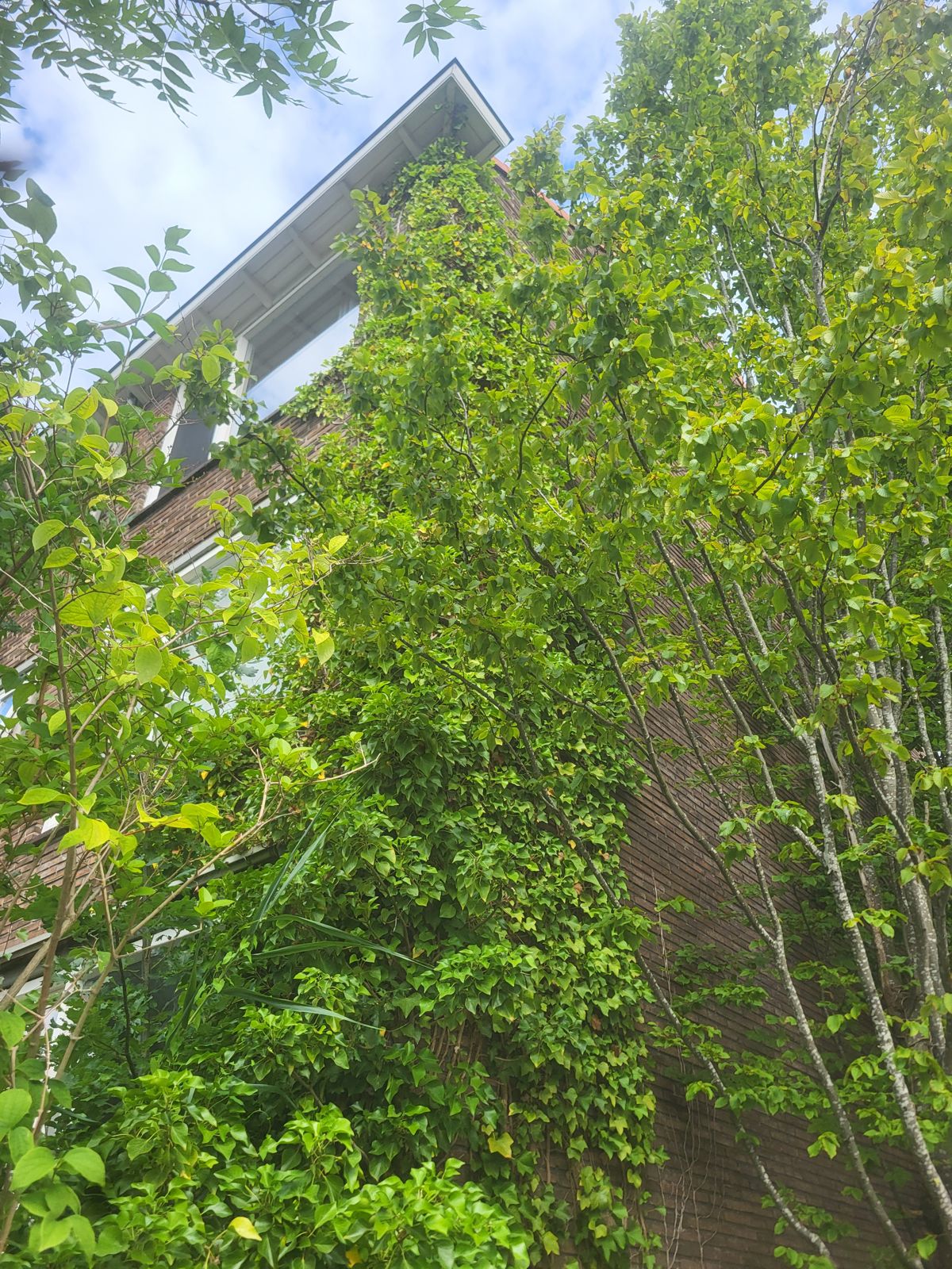 Voortuinen en groenstroken VvE leeggehaald in Gouda